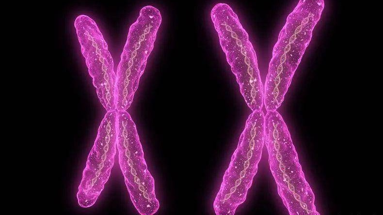 女性妇科疾病的10个征兆,妇科检查发现病变什么意思