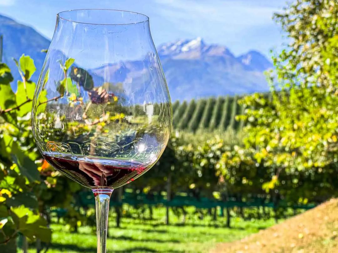 小众之美|AltoAdigeDOC上阿迪杰