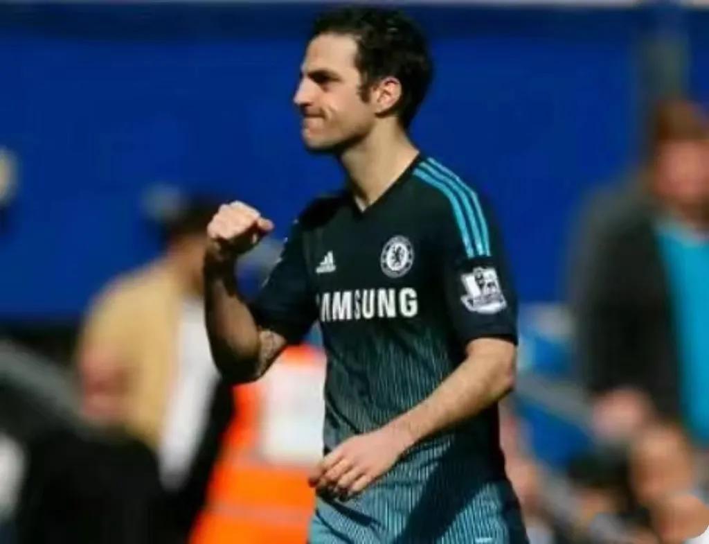 法布雷加斯足球生涯,塞斯克集锦