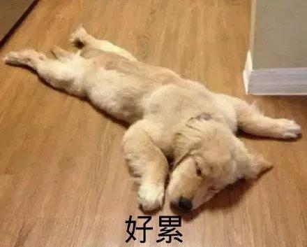 年轻人必备的朋友圈沙雕文案,适合发朋友圈的沙雕文案