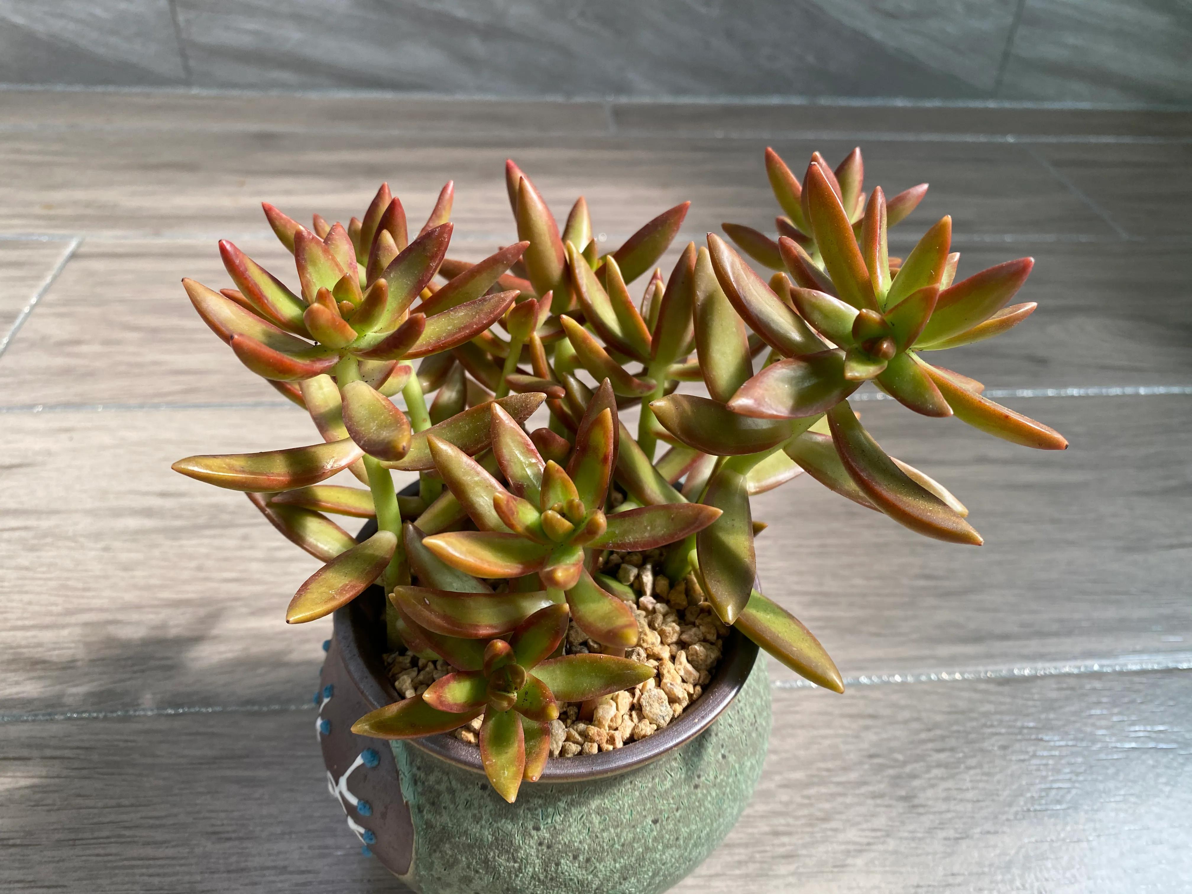 五月的颜色作文,五月的颜色对照表