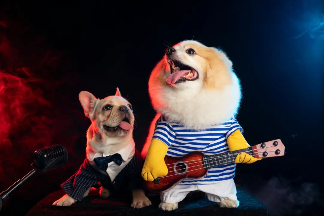 能笑得肚子痛的笑话,笑得肚子痛小品笑话段子