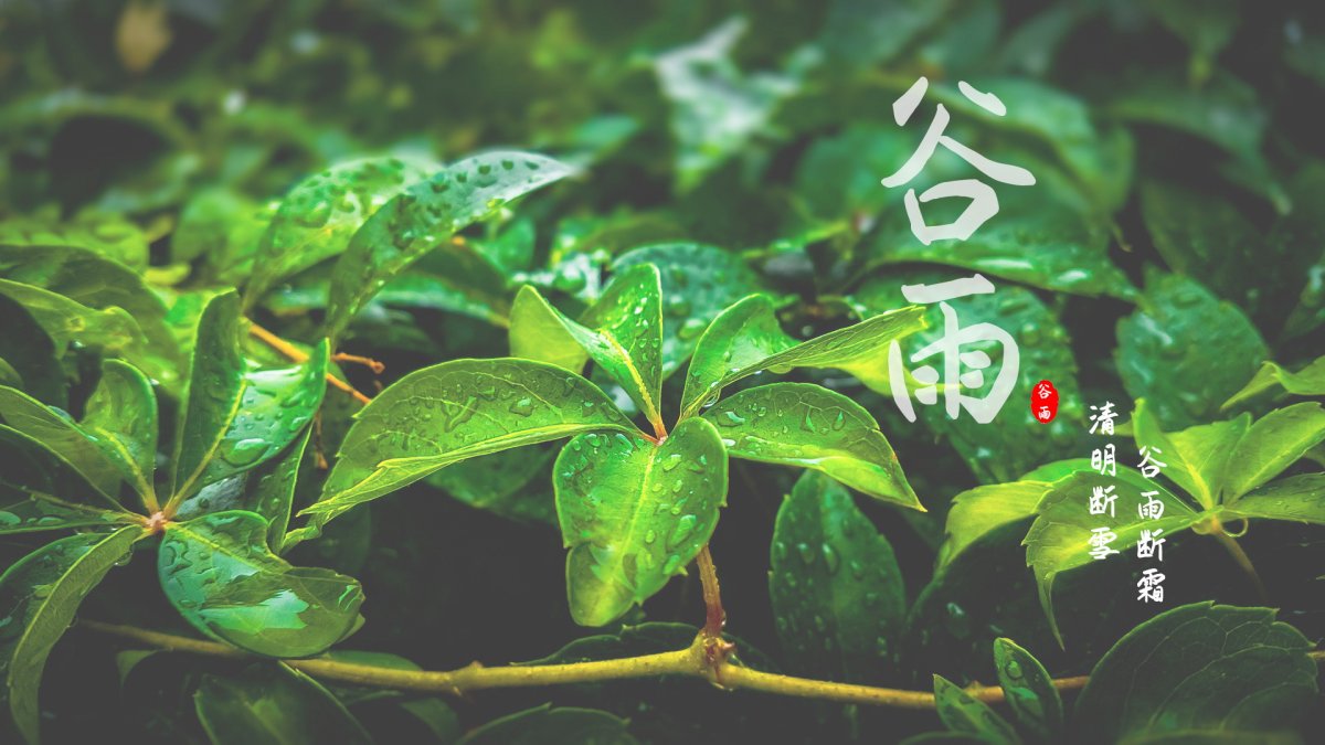 最美谷雨诗词赏析,谷雨十首最美诗词