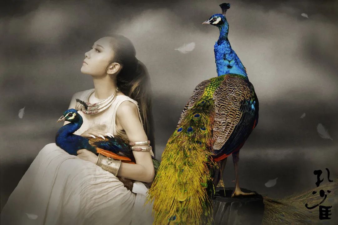 杨丽萍经典舞剧孔雀再飨津门,一生必看一次杨丽萍《孔雀》