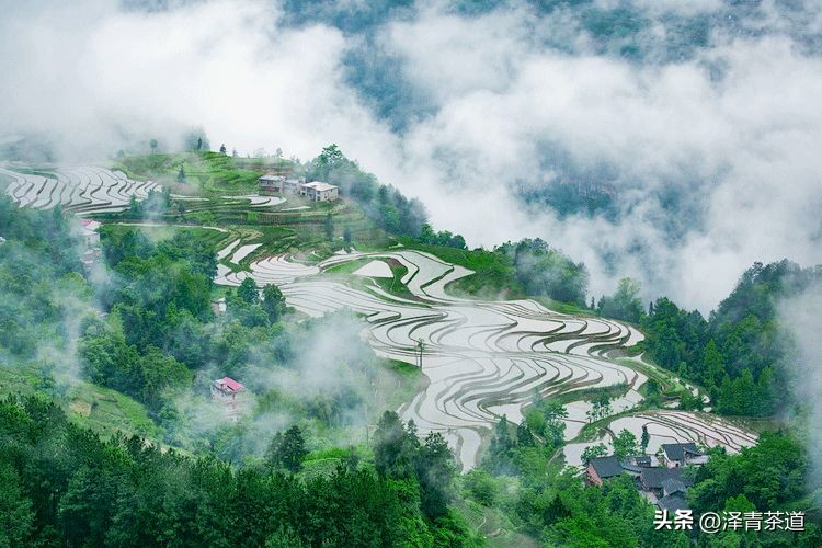 写春天的著名唐诗宋词加赏析,100首关于春天的唐诗宋词