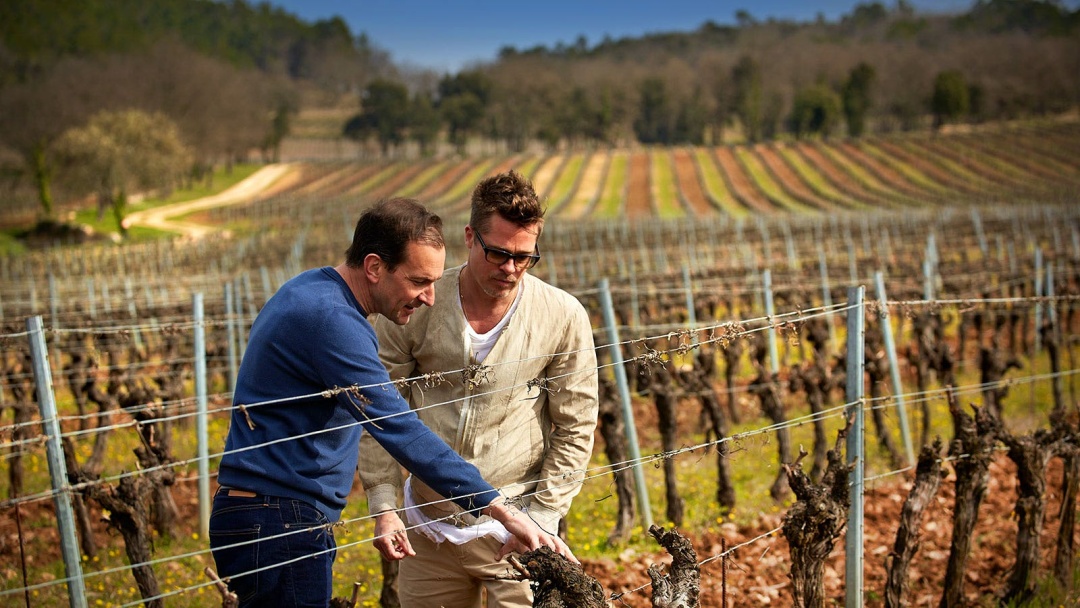 又一起世纪官司？皮特怒将前妻朱莉告上法庭：她在报复我