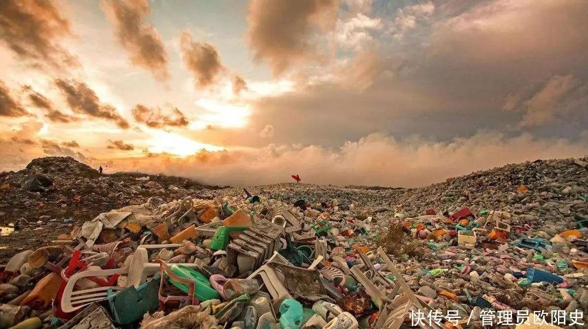 苏一格抖音,苏一格抖音号