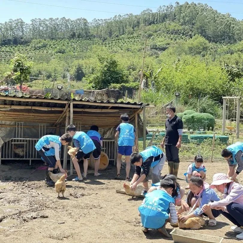 增城网红民宿别墅,增城最美花园亲子民宿