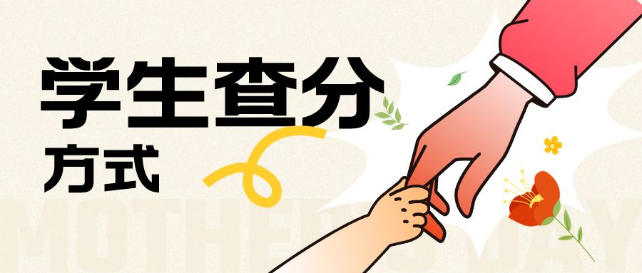 初中学生查分一般用什么系统查询,学生在线查分平台