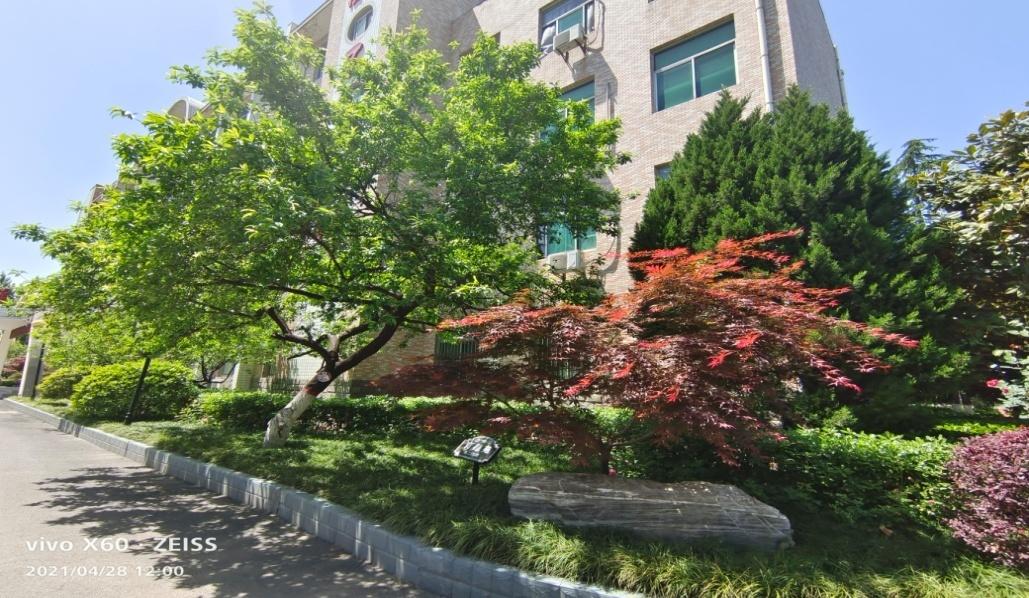 礼赞二十大谱写新篇章,礼赞二十大奋进新征程三年级