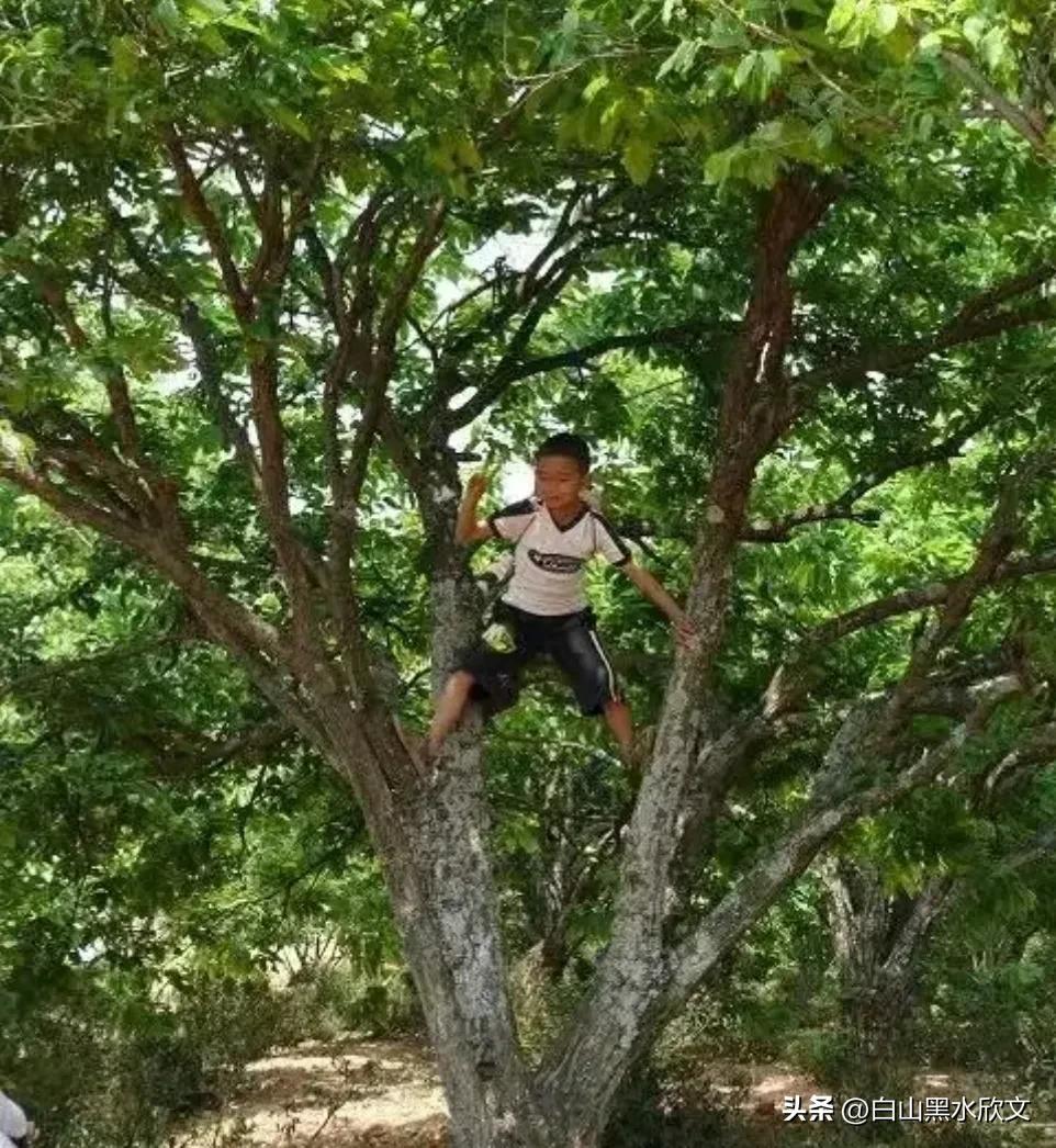 农村小孩的悲惨事,农村小孩的悲惨生活