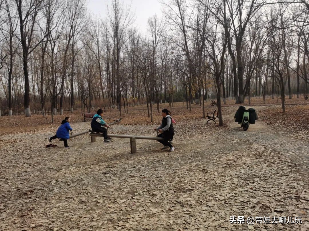 骑行国家森林公园,徒步骑行森林公园