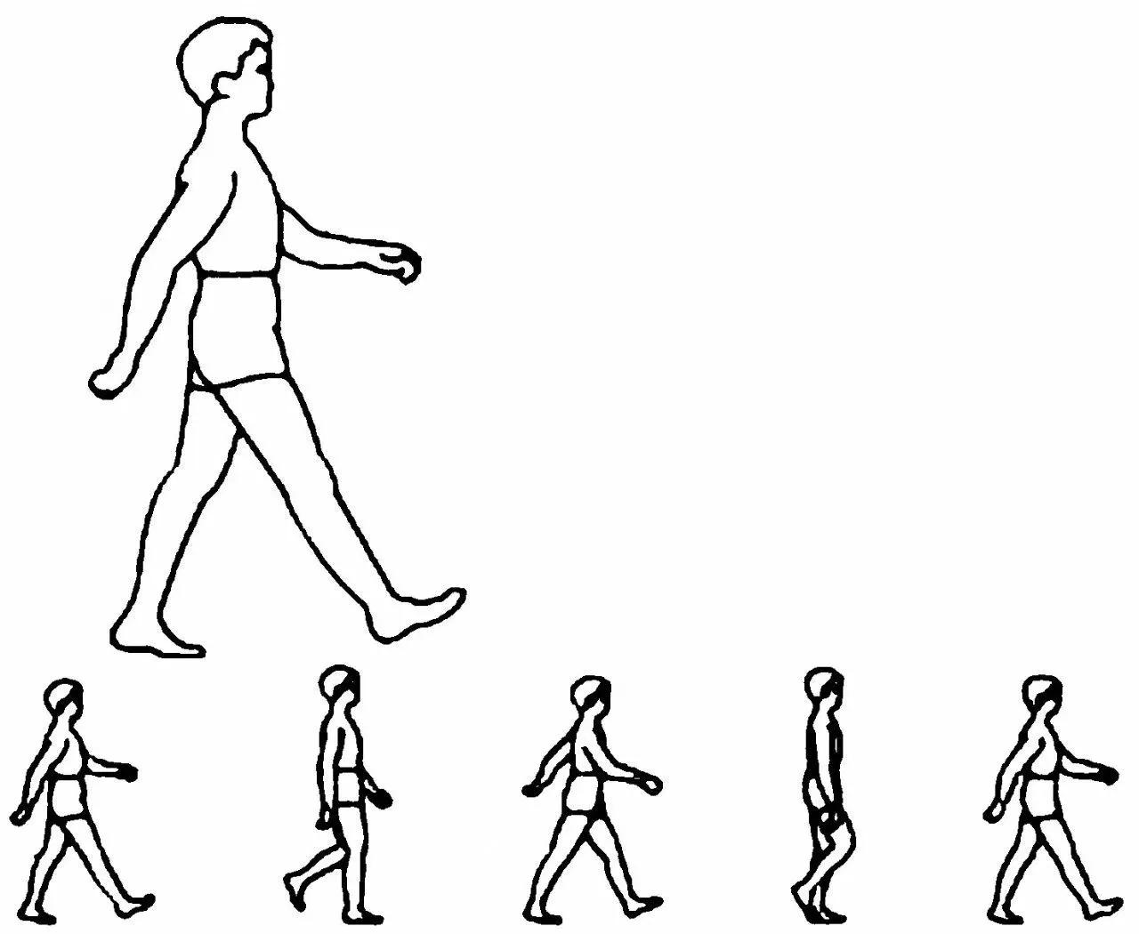 4.5腰椎间盘突出中央型怎么锻炼,锻炼腰背肌对腰椎间盘突出的作用