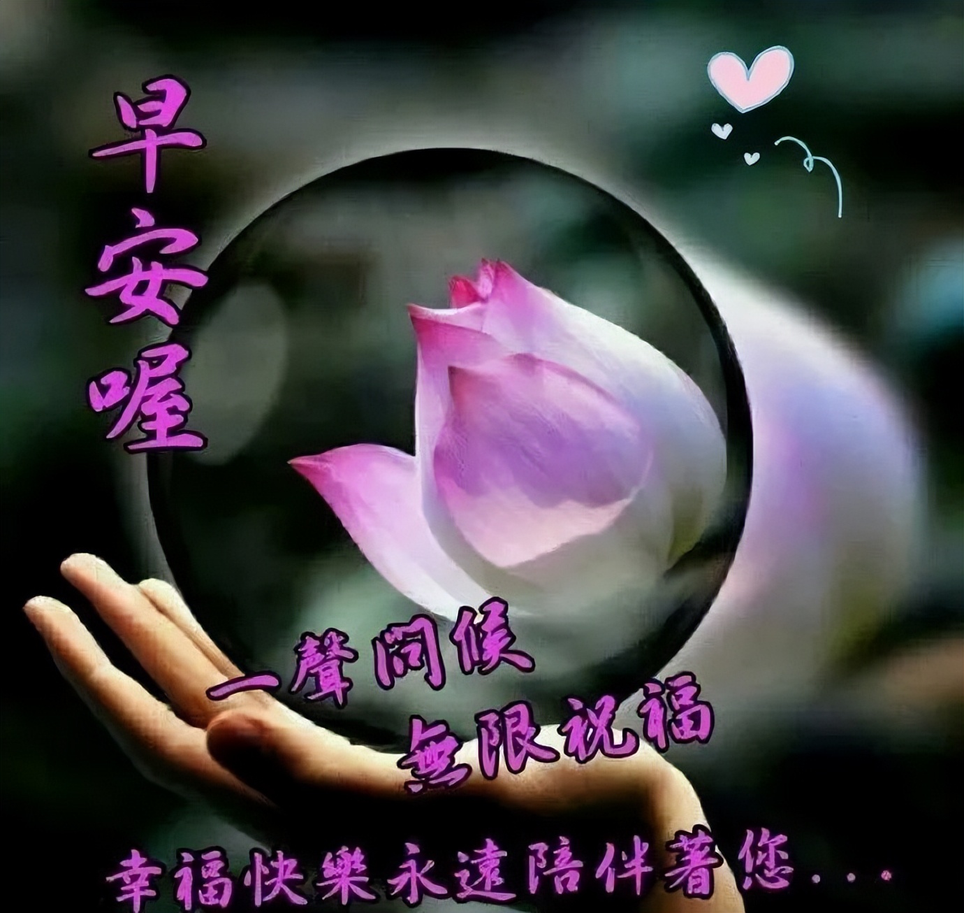 早上好问候语微信表情图片,微信表情早上好祝福图片