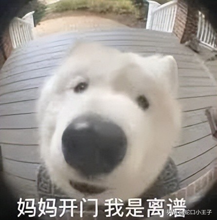 凭啥看不起小镇做题家？是有大病吗？