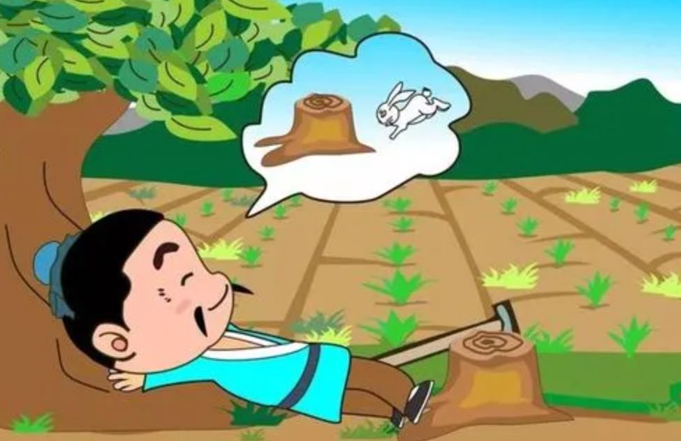 兔肉为什么没能成为主要肉食,吃草为何可以长肉