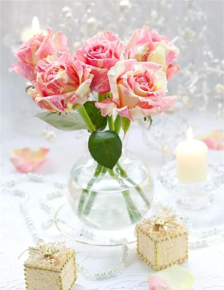 玫瑰花ins高级质感背景图,玫瑰花背景图高清图