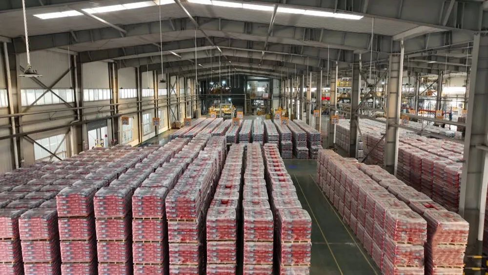 世界500强企业入驻园区,世界500强项目落地