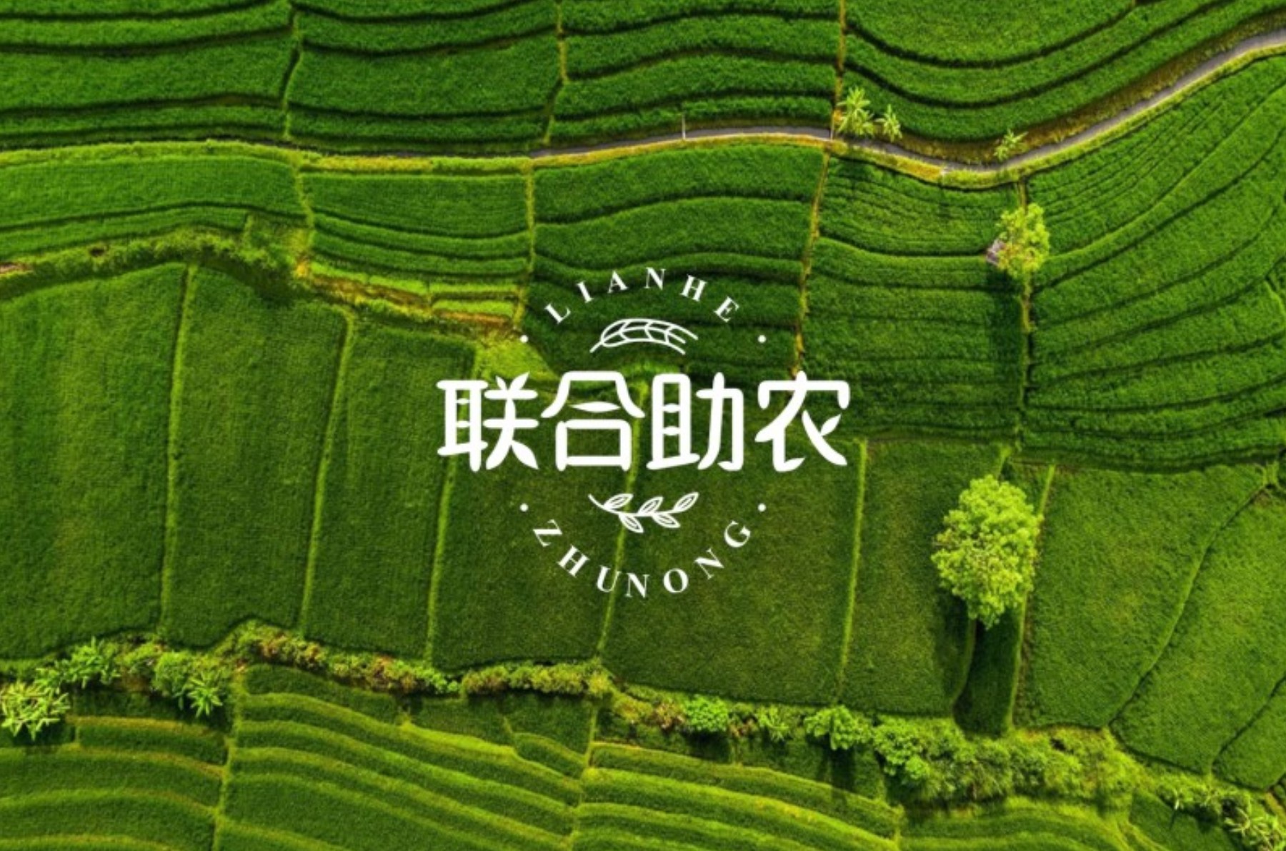 西安品牌设计公司报价,西安品牌策划公司