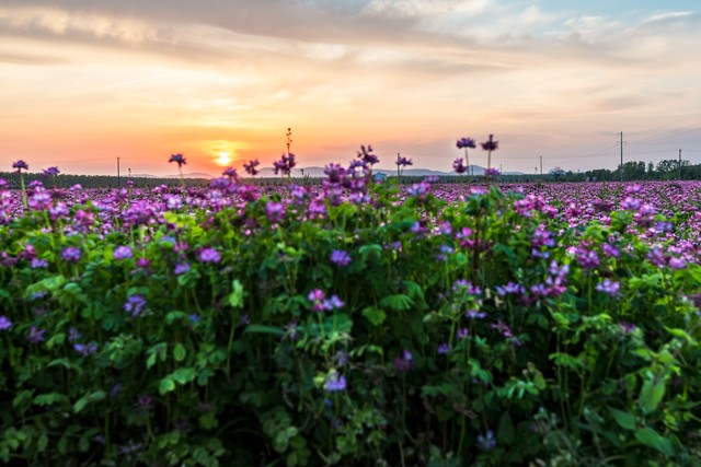 小姨微小说,小姨4