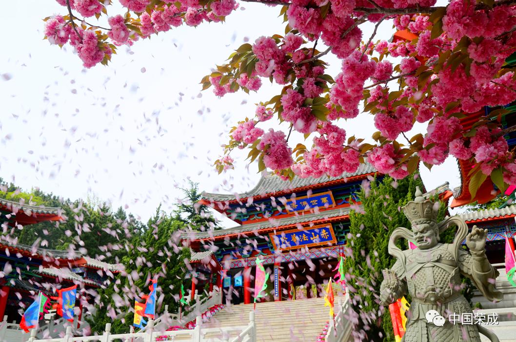 2023鑽ｆ垚鏂囨梾娲诲姩,鑽ｆ垚鐗圭鍏典竴鏃ユ父