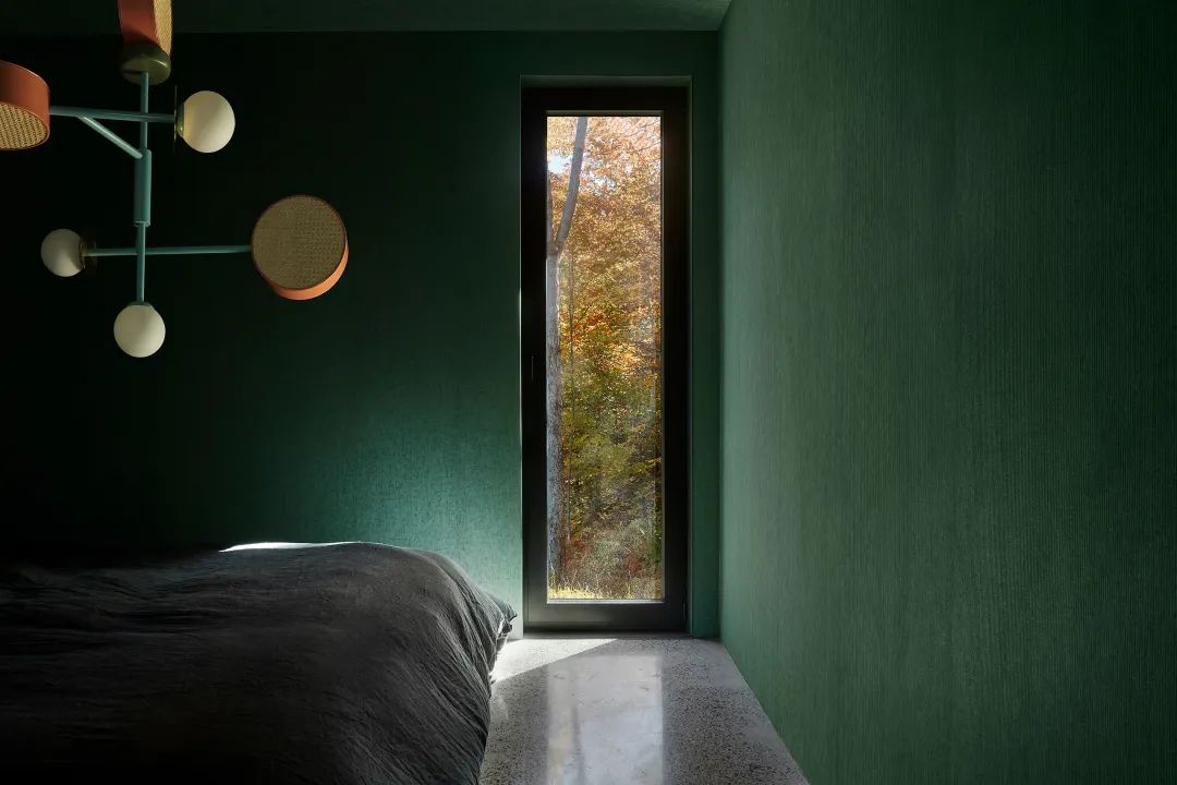 他们把家搬到了森林里，一间森林