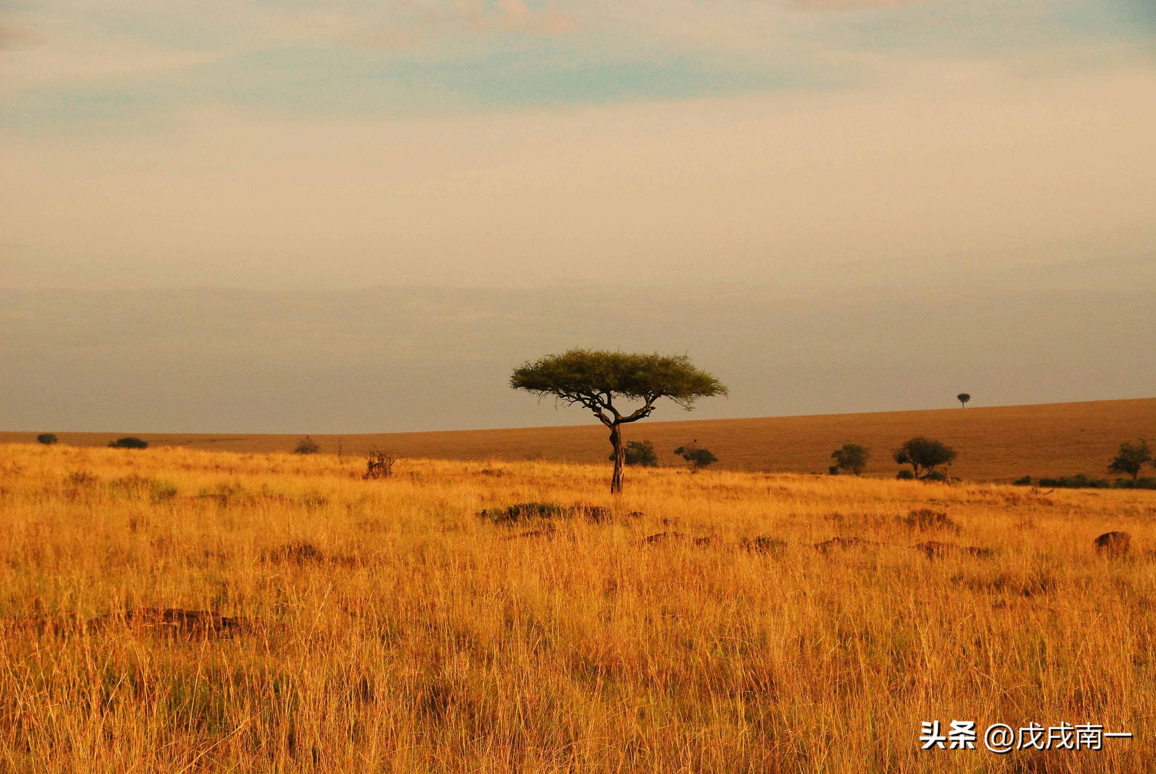 一个从业十年交易者的感悟,交易十二年