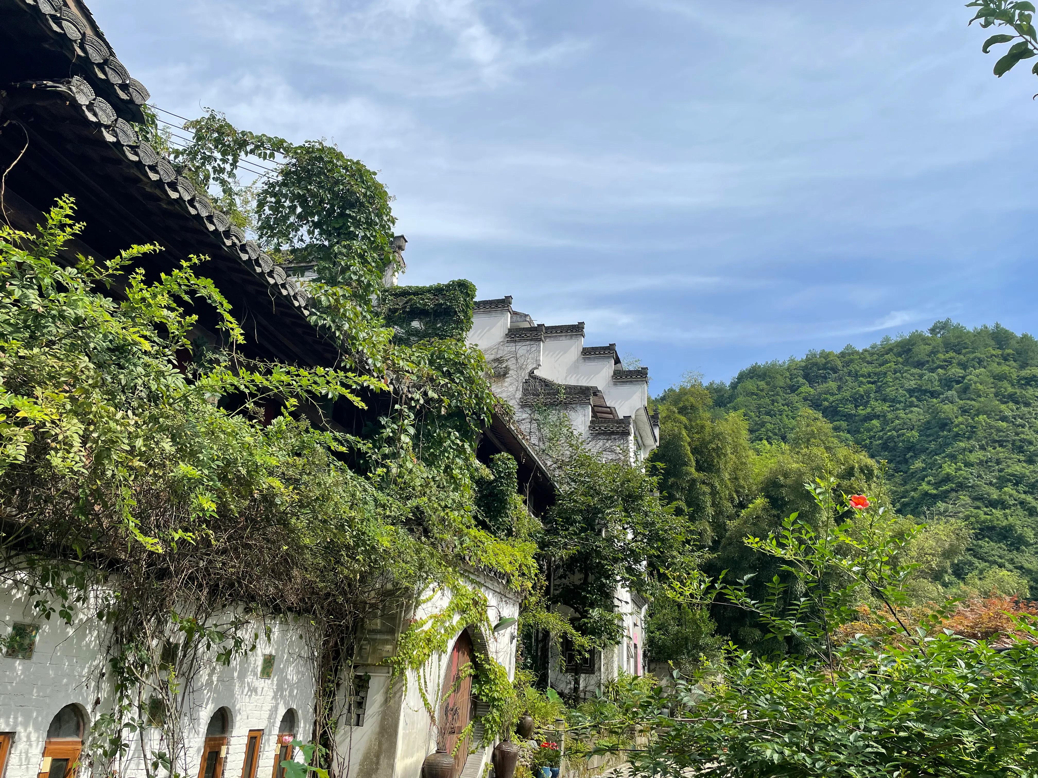 生活中苟且的活着,生活里的苟且