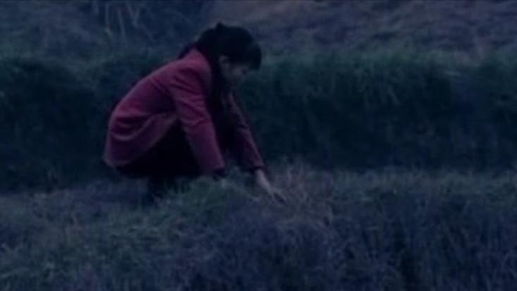 重庆山村被杀男孩,重庆一个村子离奇死亡事件