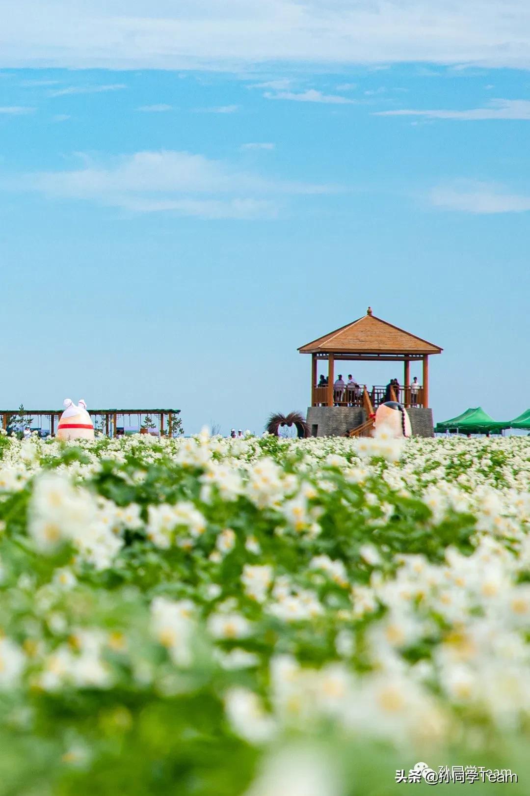 宝藏小众城市榆林,边陲古城榆林