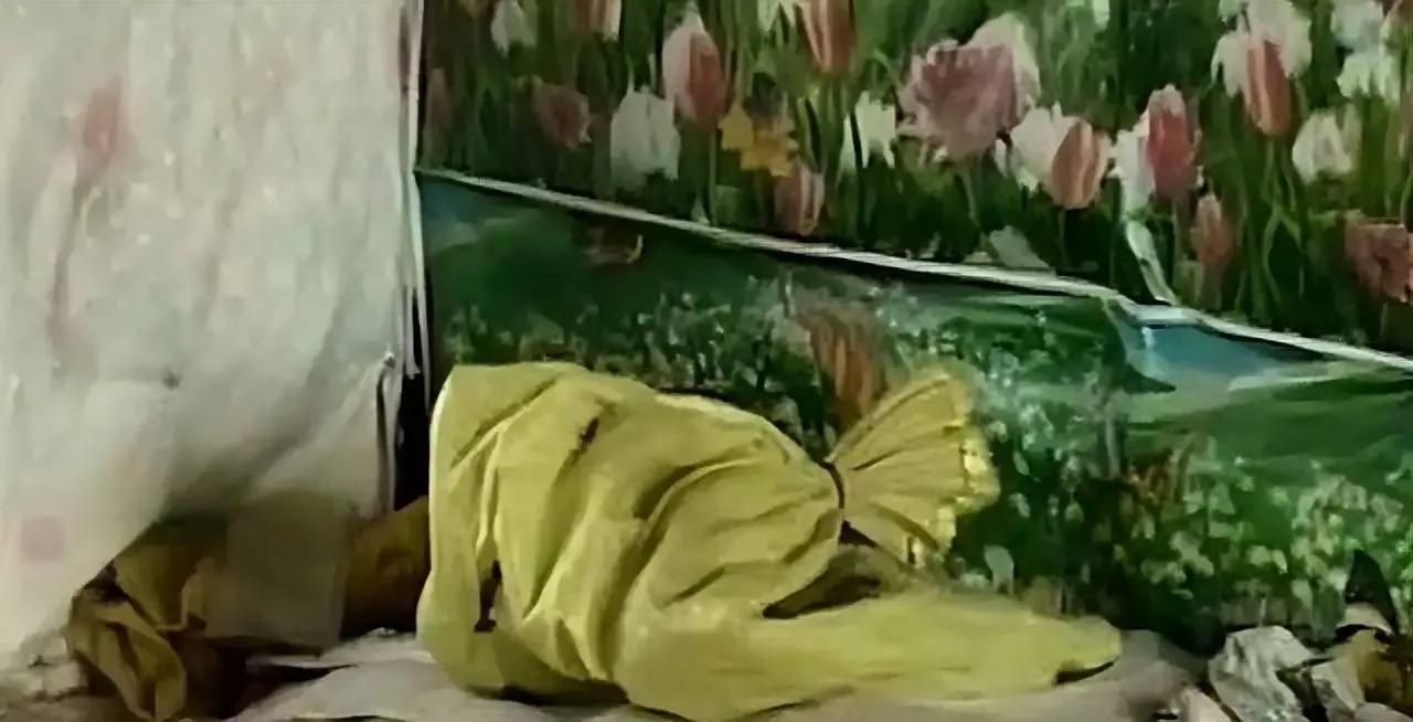 1995年，吉林一女子和蛇同床12年后毫发无伤，甚至还能听懂她的话