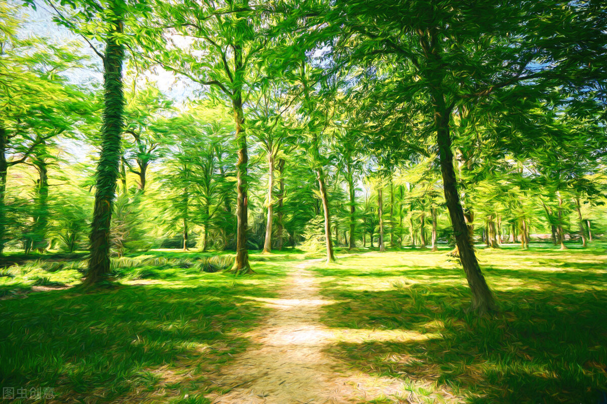 夜话完整版,夜话女声版