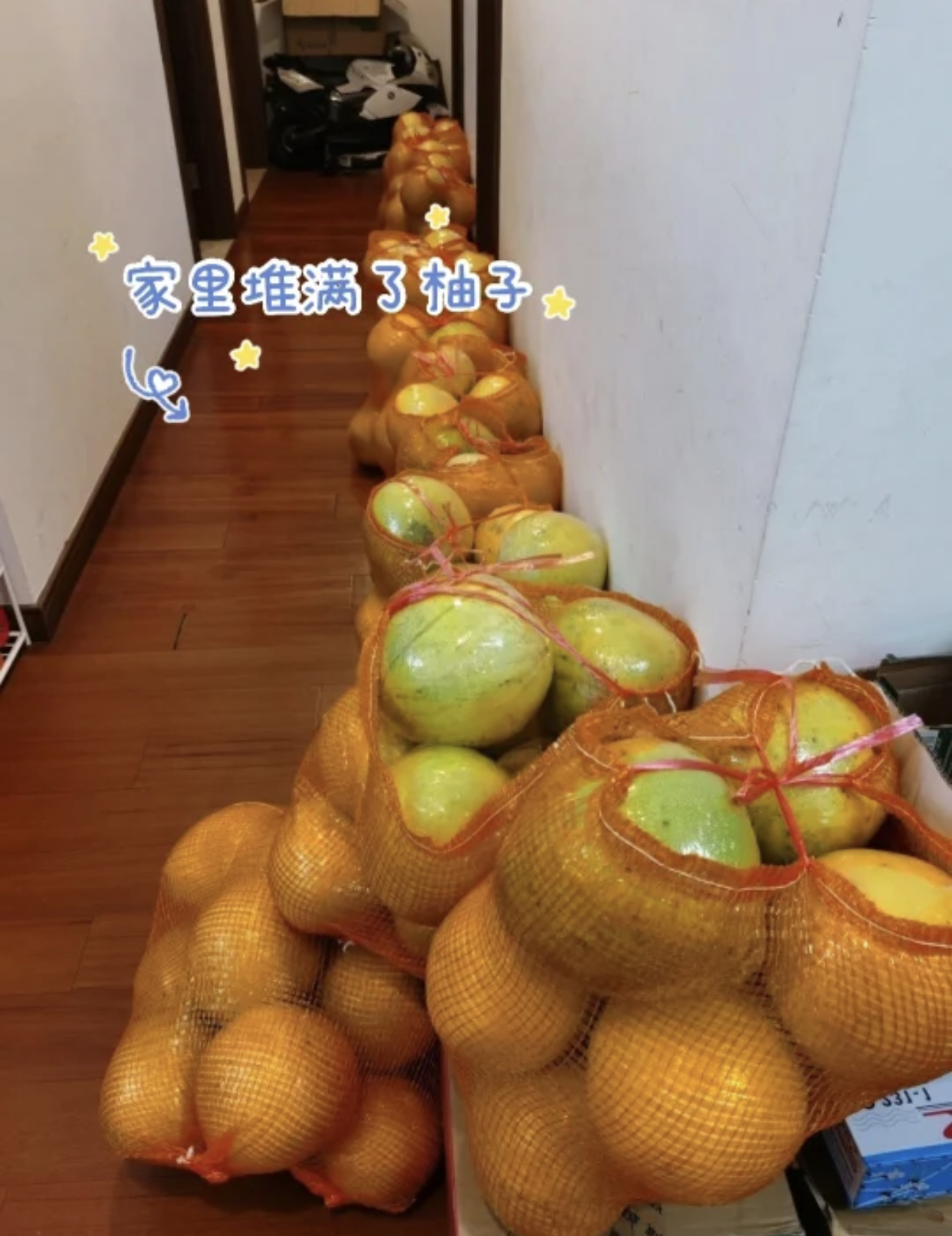 光触媒喷雾除甲醛是不是智商税,十种甲醛治理方式今天你收藏了么