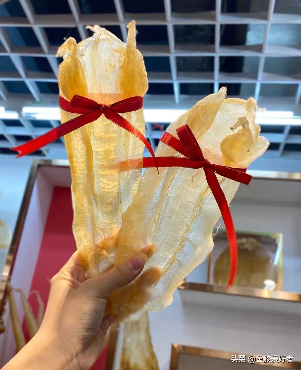 怎样挑选鱼胶最好,鱼胶怎么挑选才是好的