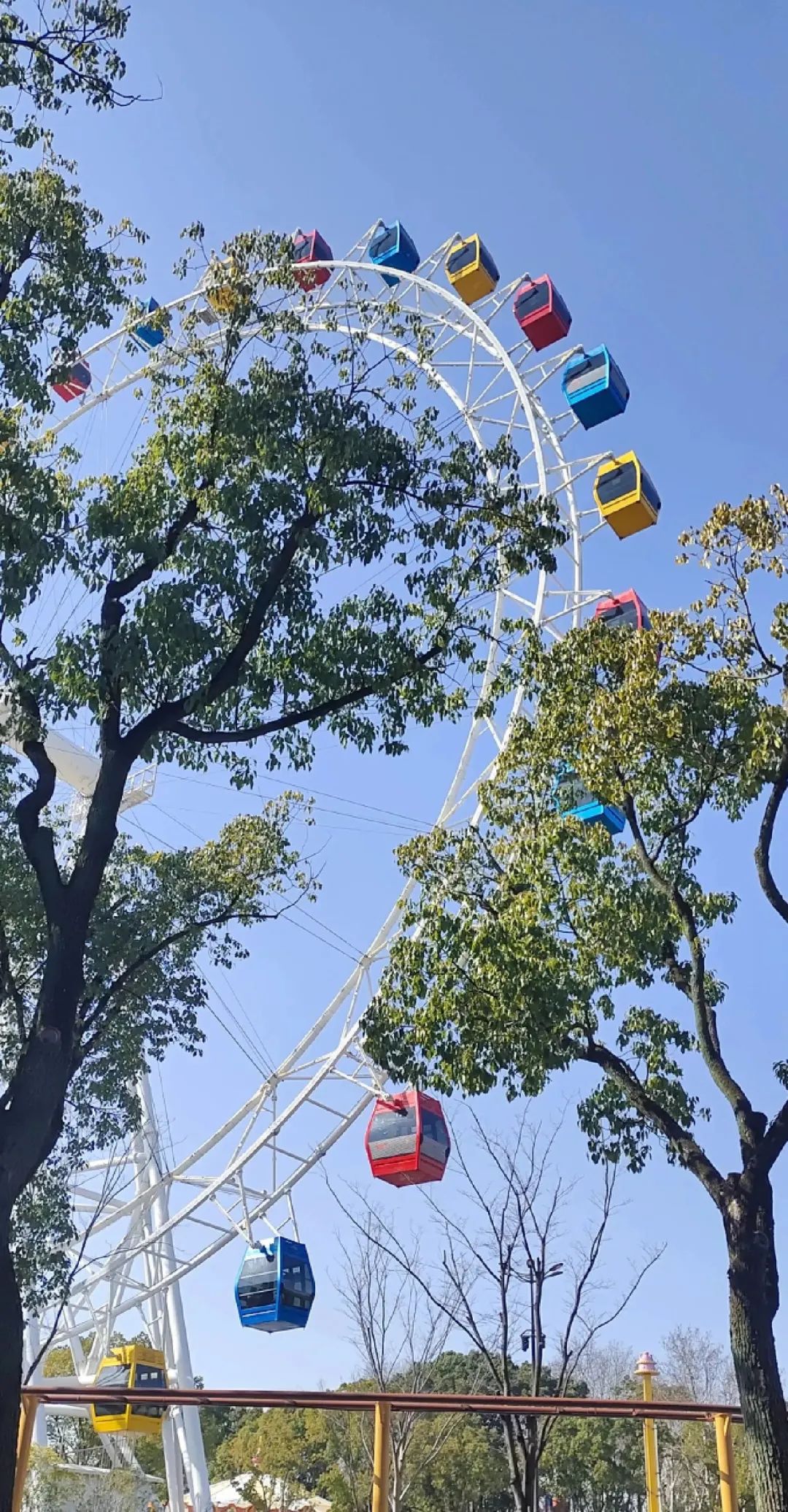 上海野生动物园建议周六周天去吗,上海野生动物园通玩一日游攻略