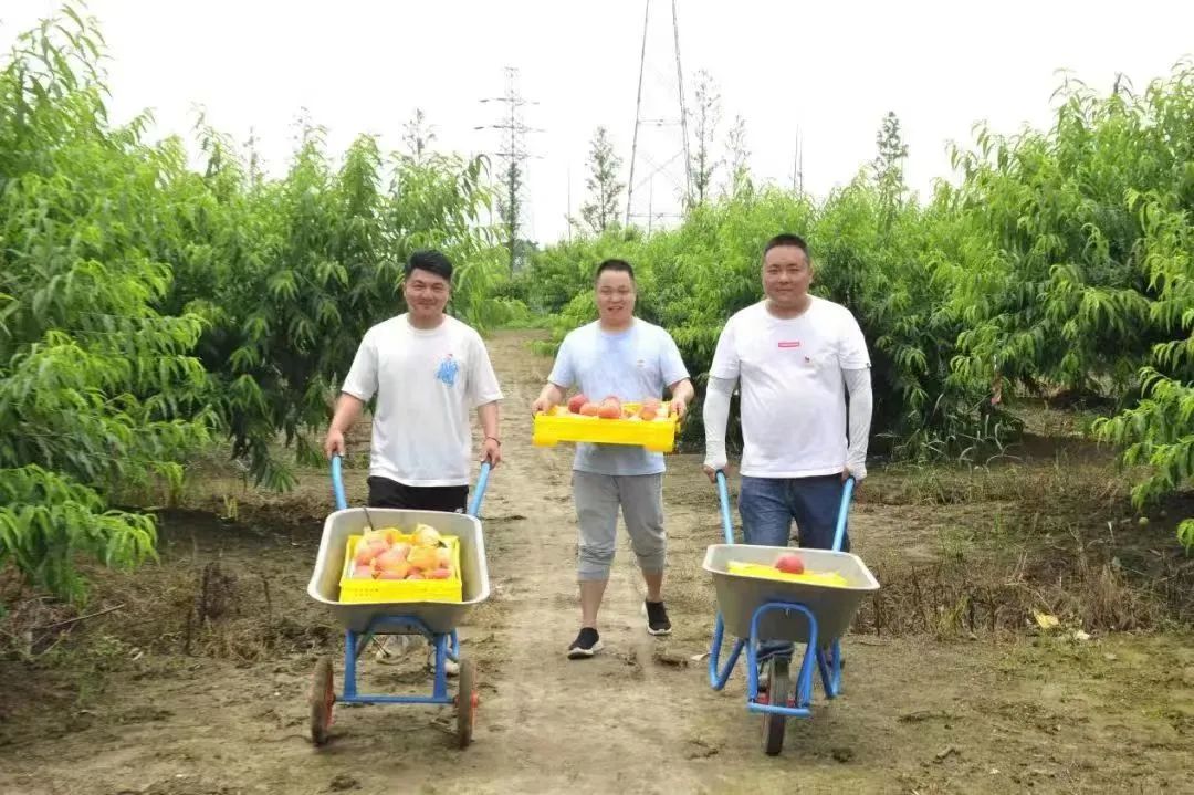 溧阳市3名退役军人联手打造家庭农场带动30余名农民增收