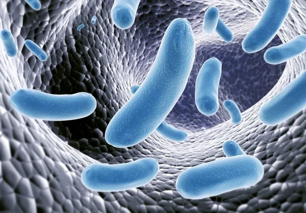 别羞羞，谁一辈子还没得过宫颈炎呢？又该怎么预防呢？