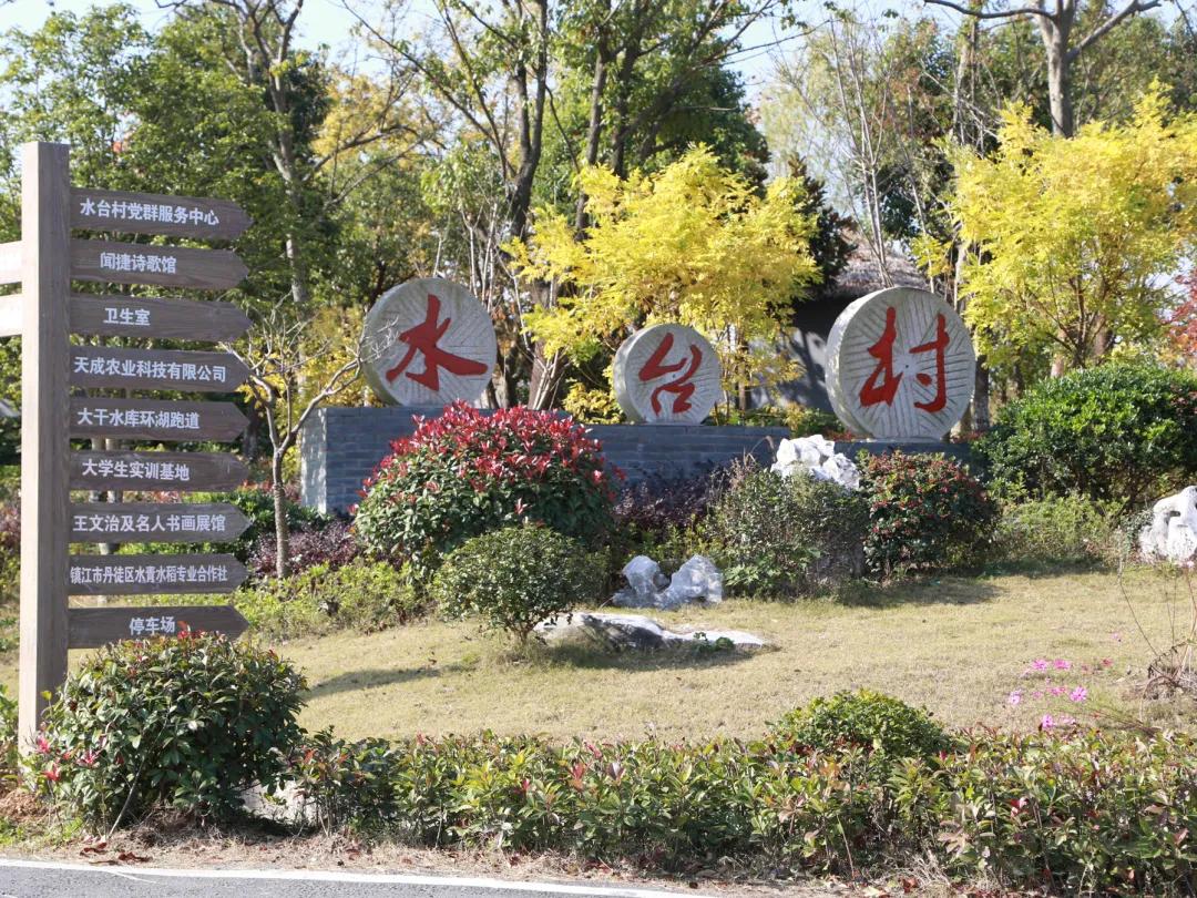 水台镇农村,描绘乡村振兴新蓝图