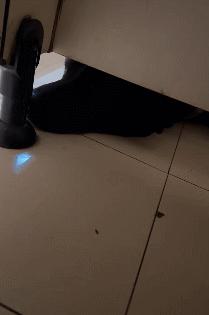 女厕的诡异之处,女厕所发现怪异男尸