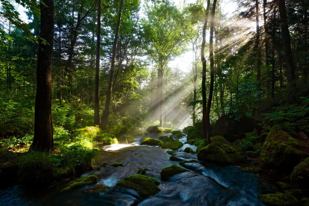 黑龙江有多美好图片,记忆中的黑龙江图片