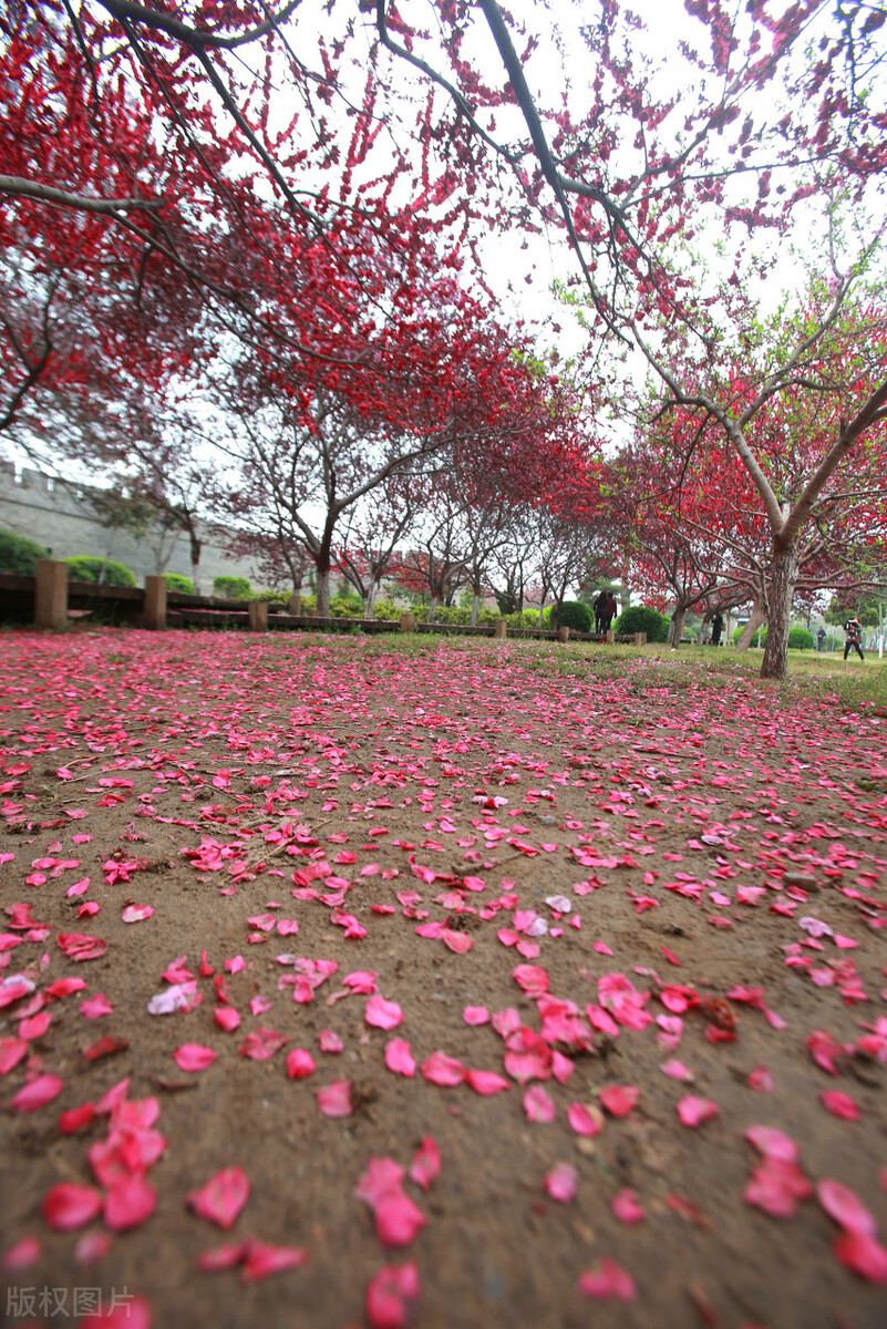 永遇乐落日熔金有虚实结合吗,永遇乐落日熔金是慢词双调吗