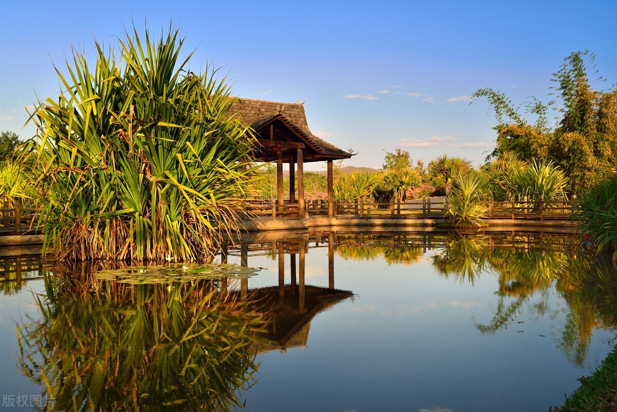 云南除了西双版纳哪里还适合过冬,西双版纳景洪避寒的地方