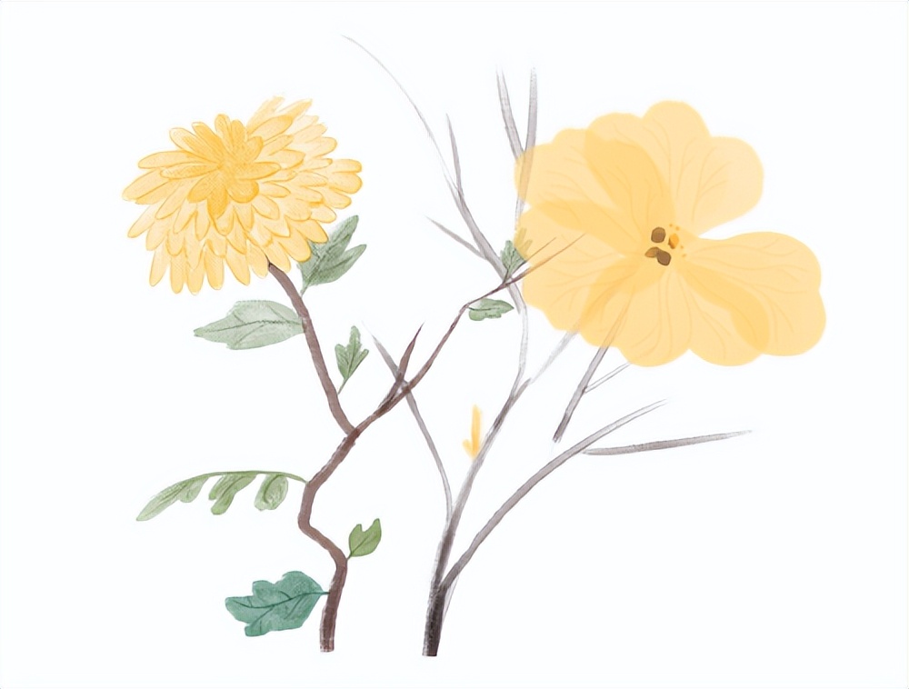 艾灸盒用得着选助推器吗,艾灸器具选择