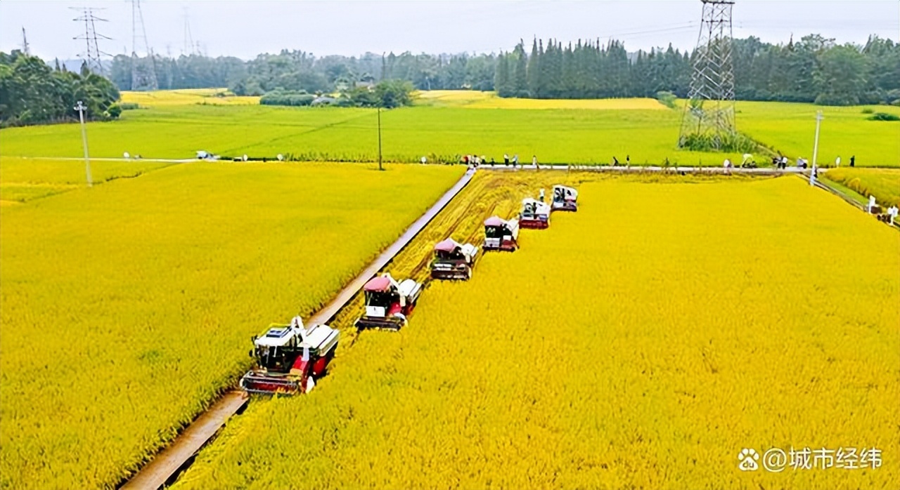 全国产粮大省排名榜,全国各省产粮大省排名