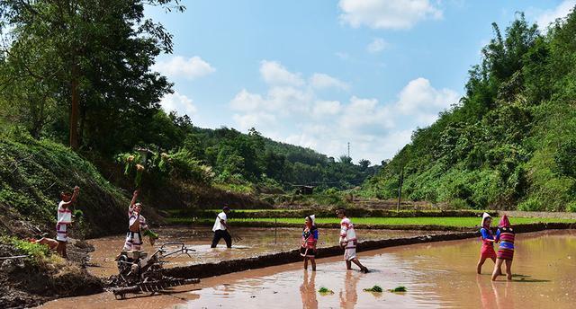 农夫和渔夫合唱,农夫与渔夫合拍