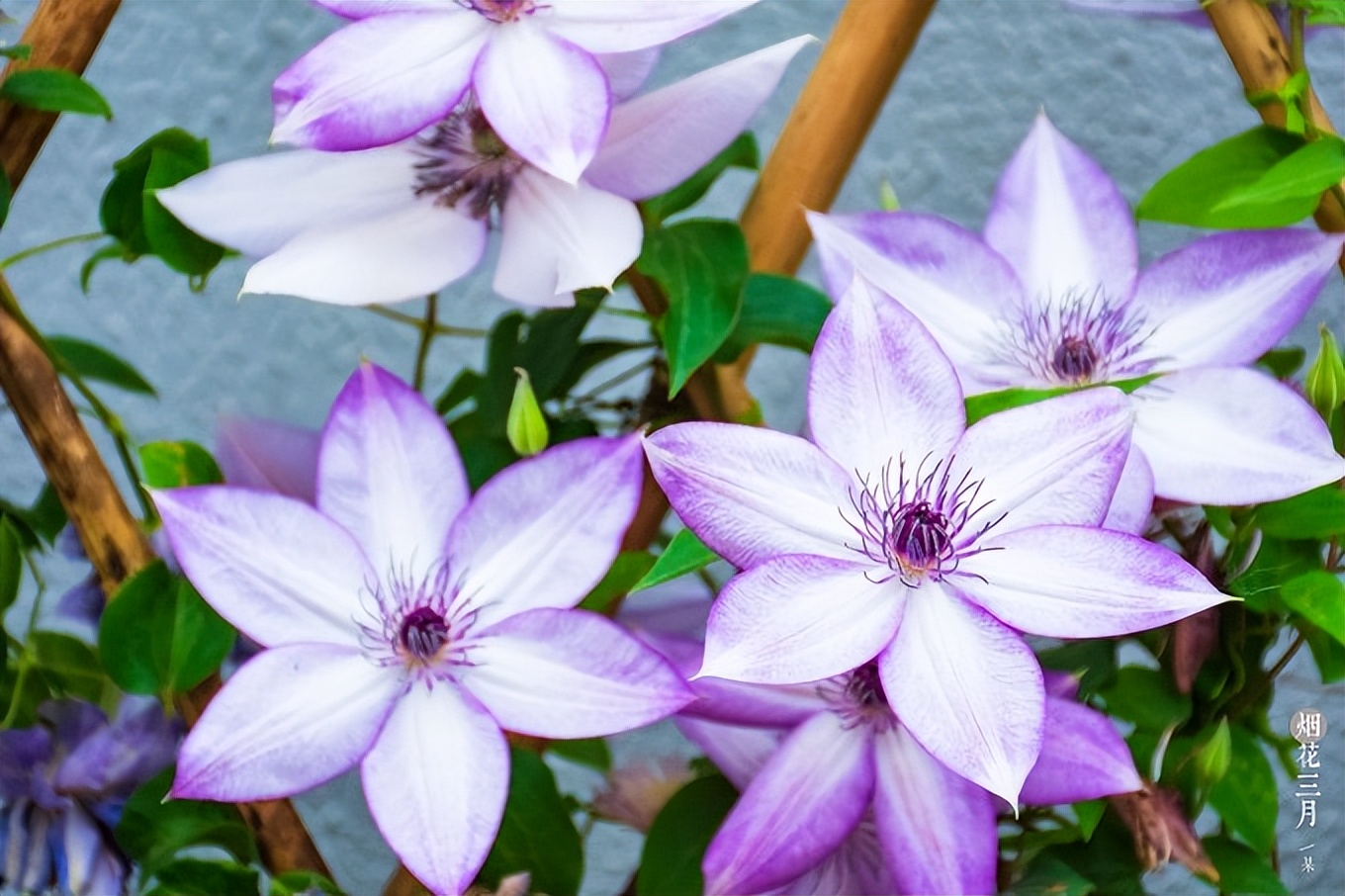 2018年扬州之旅,扬州自由行详细攻略