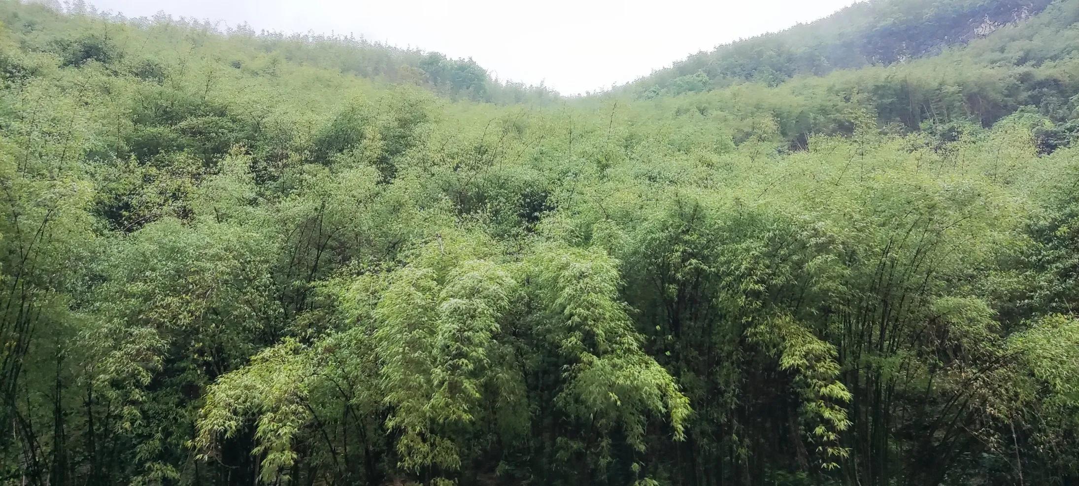 统景温泉视频,统景温泉旅游一日游