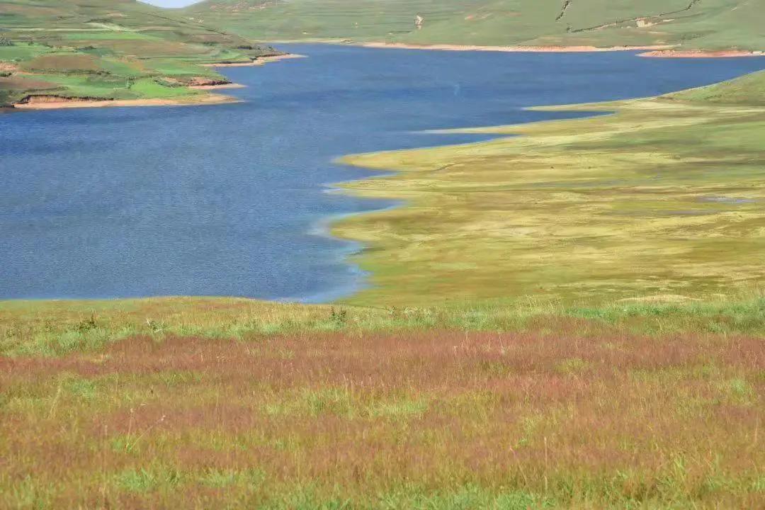 云南旅游避暑景点有哪些地方好耍,云南避暑美食胜地