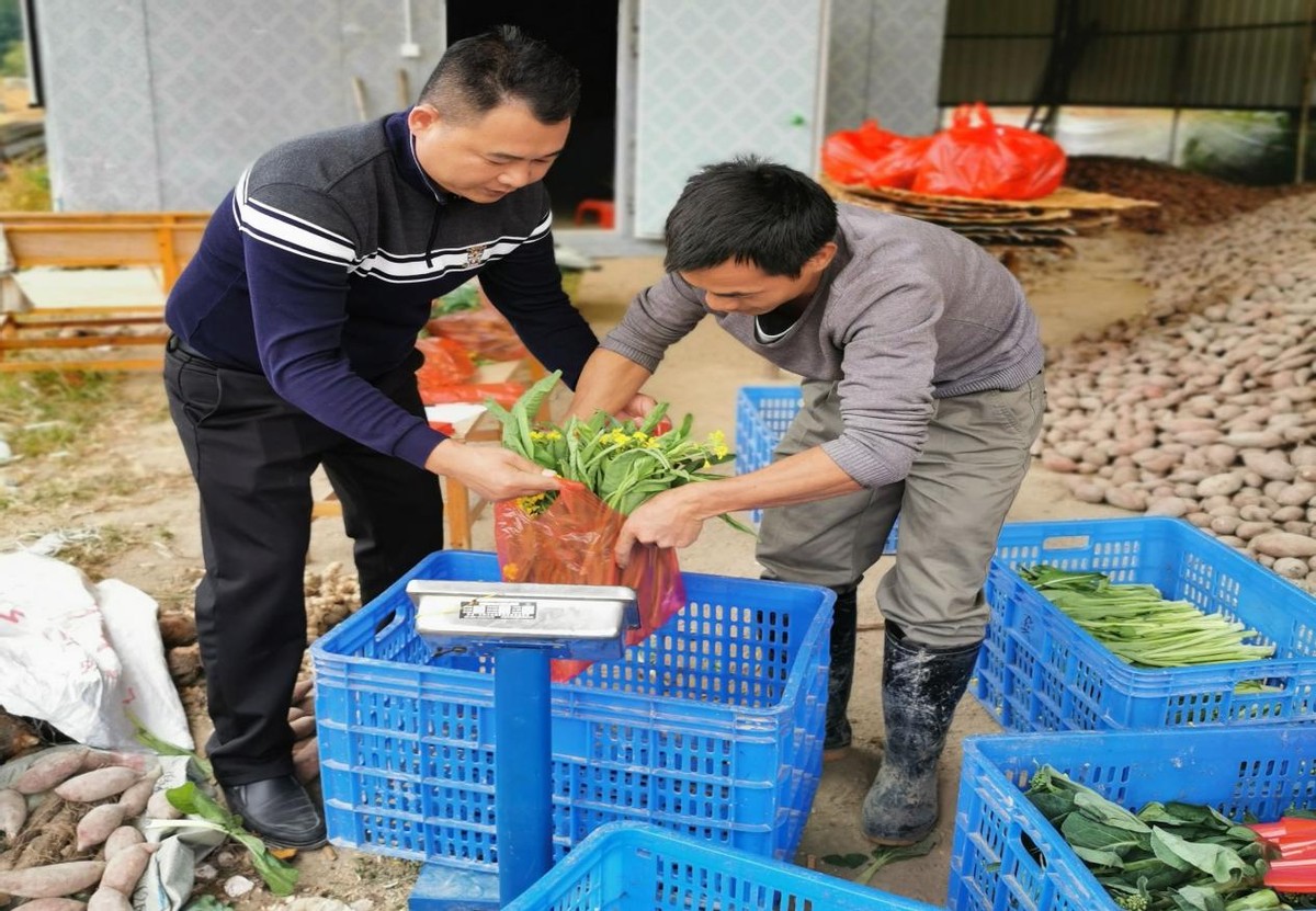 战胜困境的最好方法,怎样消除贫困促进可持续发展