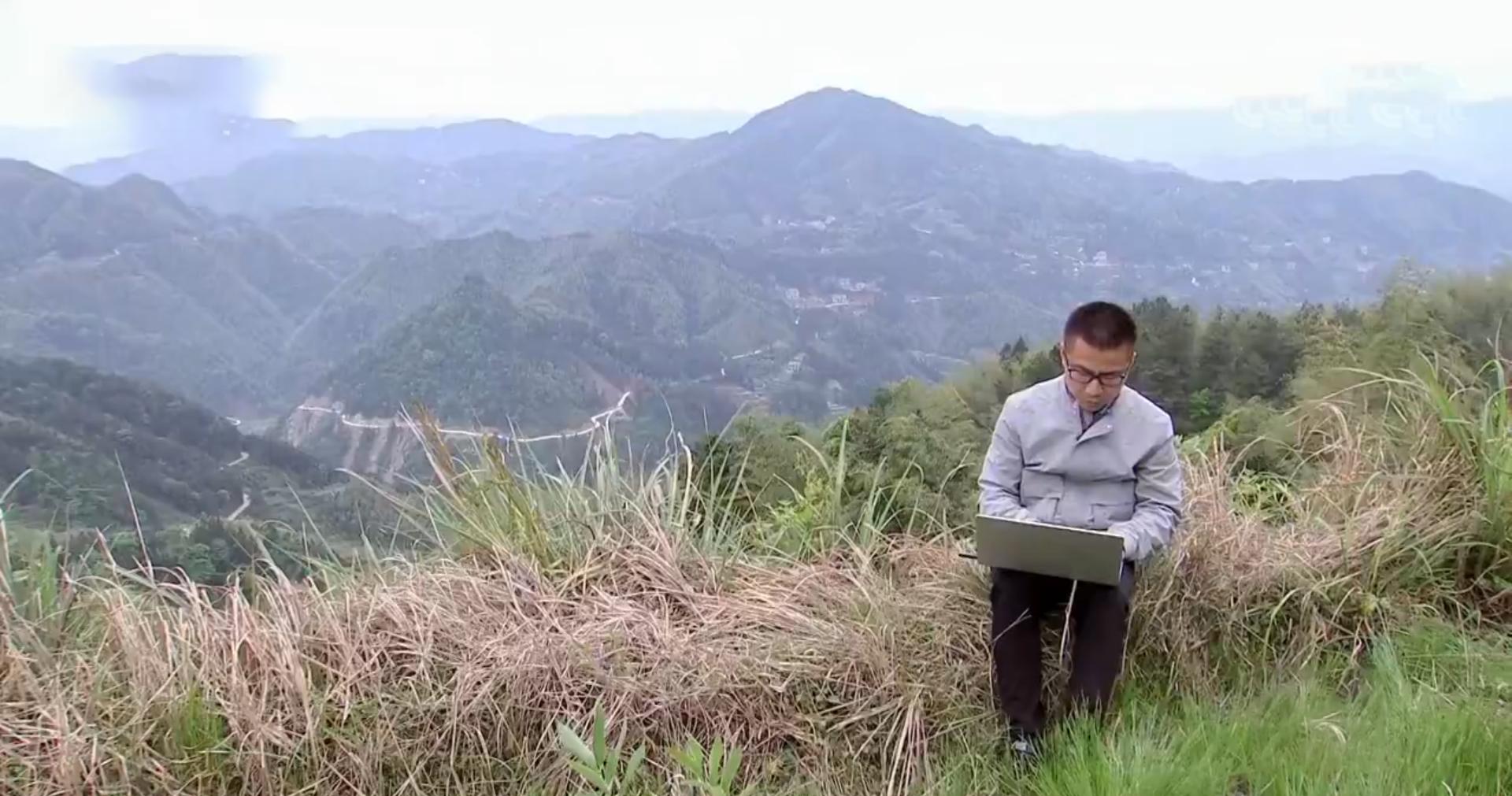 5毛钱一斤没人要的“野草”,小伙竟看出商机,2019年赚1760万元